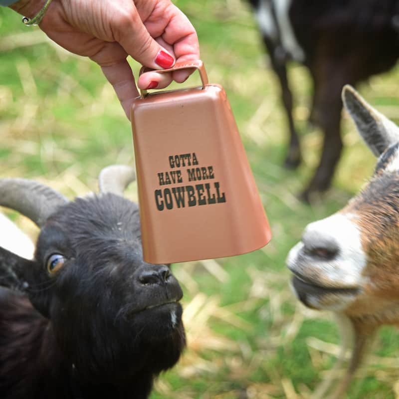 Gotta Have More Cowbell